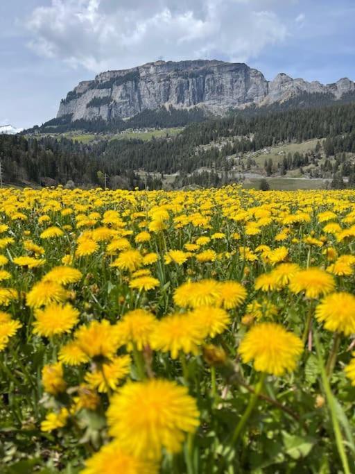 Wohnung Mit Fantastischer Aussicht Trin Exterior foto